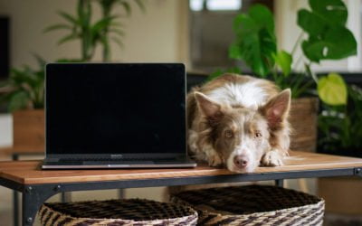 ΚΟΡΩΝΟΪΟΣ – Διαχείριση των ανθρώπων στο περιβάλλον τηλεργασίας